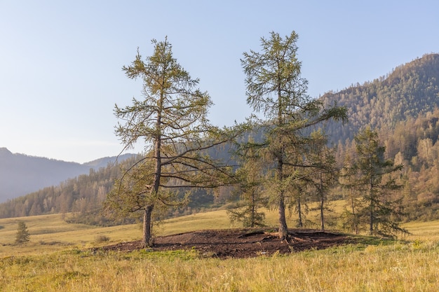 Sommeransicht des Altai, Russland