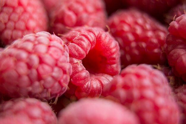 Sommerbeeren hautnah