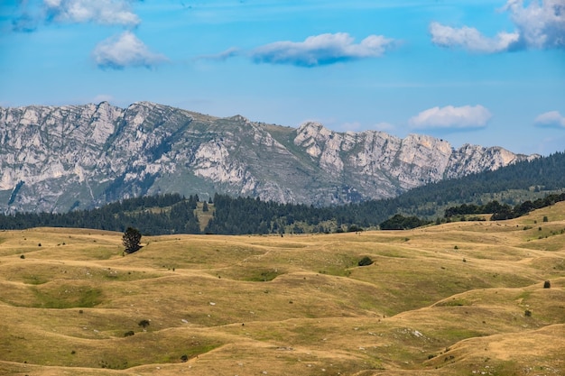 Sommerberg Durmitor Nationalpark Montenegro Durmitor Panoramastraße