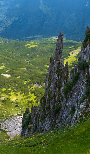 Foto sommerberghang mit malerischen felsformationen shpyci berg karpaten ukraine