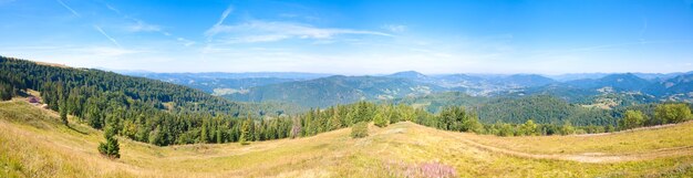 Sommerberglandpanorama (Ukraine, Karpaten). Vier Schüsse Stichbild.