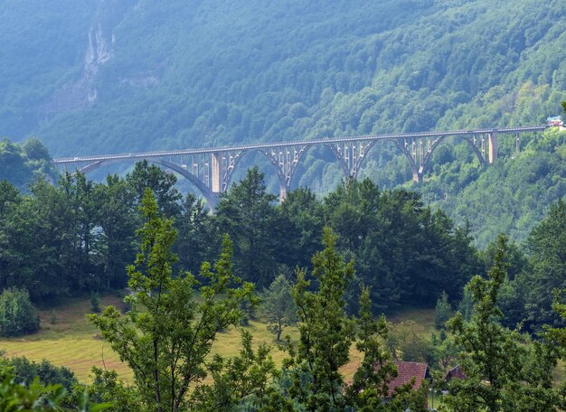 Sommerberglandschaft Montenegro