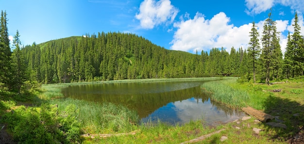 Sommerbergsee marichejka und tannenwald mit reflexion des blauen himmels herein (ukraine, chornogora ridge, karpaten). stichbild mit fünf schüssen.