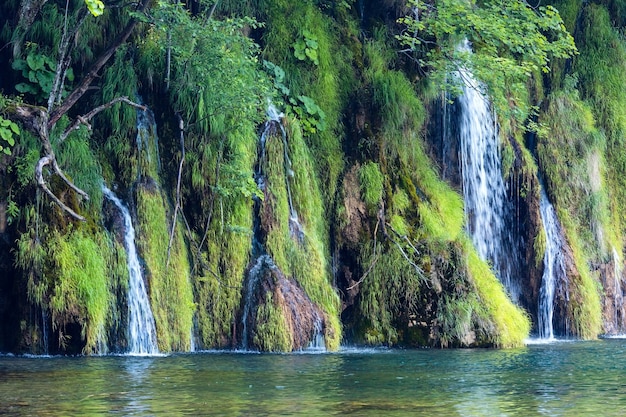 Sommerblick auf schöne kleine Wasserfälle und klaren See vor (Nationalpark Plitvicer Seen, Kroatien)
