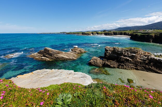 Sommerblühende Atlantikküstenlandschaft mit rosa Blumen und drei Stränden Islas Xuncos und Castros Spanien