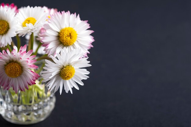 Sommerblumen auf einem schwarzen