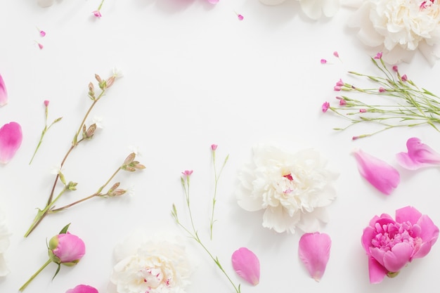 Sommerblumen auf weißem Papierhintergrund