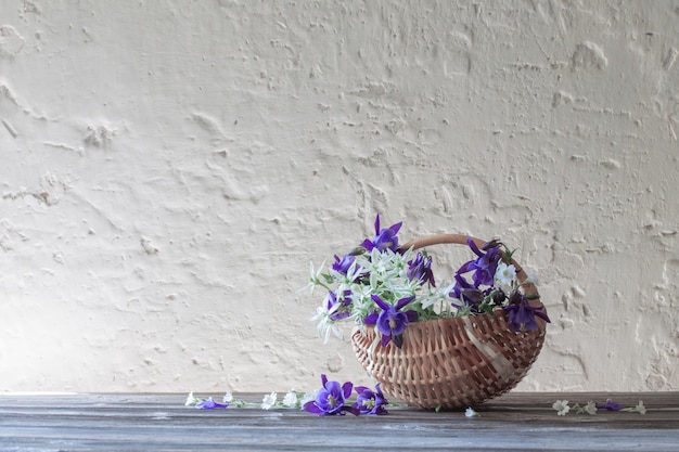 Sommerblumen im Korb auf weißer Wand