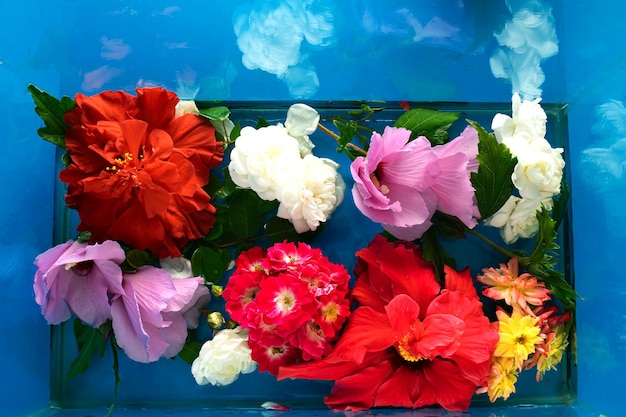 Sommerblumen in verschiedenen Farben im Wasser auf blauem Hintergrund flach gelegt