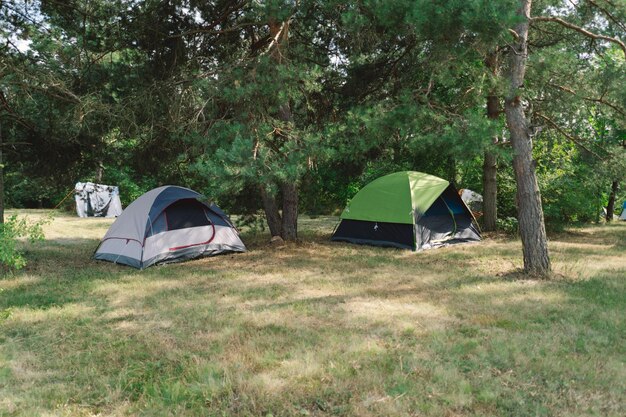 Sommercamping mit farbigen Zelten inmitten von Waldbäumen