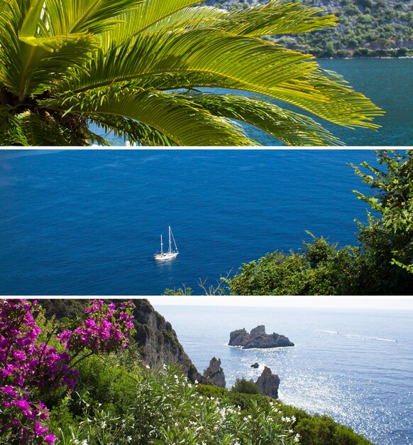 Sommercollage der Reise Schöne Aussicht auf die Meerespalme und die schwimmende Yacht an einem sonnigen Tag