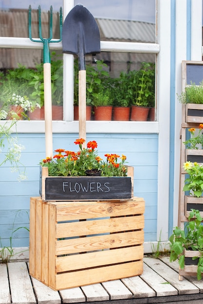 Sommerdekor-veranda mit tagetes-blumen äußere holzveranda des hauses mit pflanzen