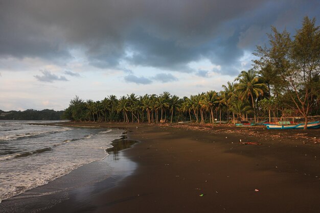 sommerferien hintergrund - sonniger tropischer paradiesstrand mit braunem sand und palmen