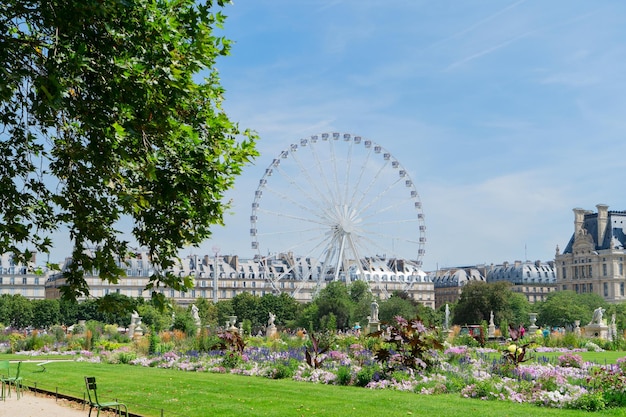 Sommerferien in Paris Tuileries Gärten mit Fährrad vor dem Louvre Palast Paris Frankreich