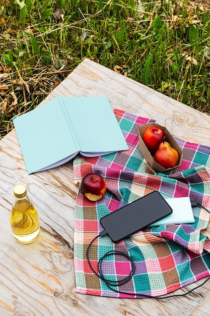 Foto sommerferien-smartphone-ladung von der powerbank buchen von obst und getränken für das picknick