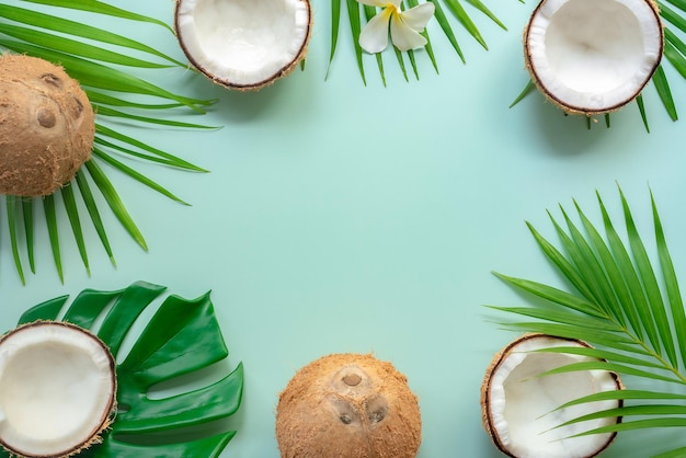 Sommerfrüchte Tropische Palmenblätter Ananas Kokos Papaya Drachenfrucht Orange auf grünem Rücken