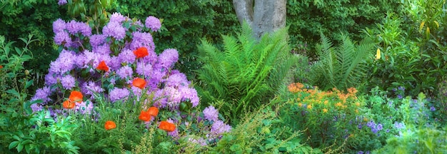 Sommergarten Ein Foto des Gartens im Sommer