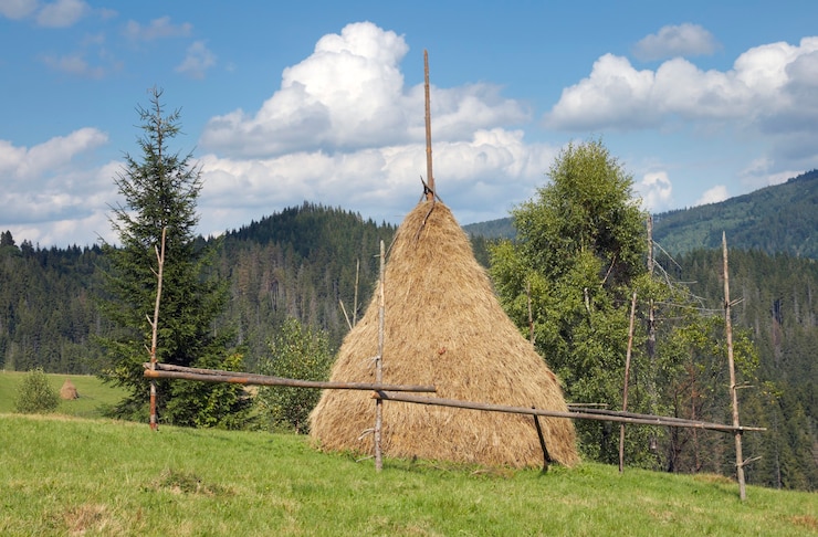 Foto sommergebirgsgrüne wiese mit heuhaufen.