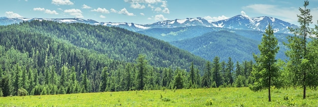Sommergebirgslandschaft grün von Wiesen und Wäldern und Schnee auf den Gipfeln sonniger Tag panoramisch