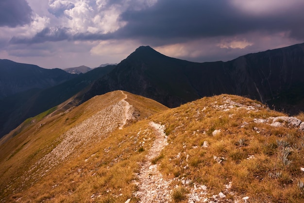 Sommergebirgslandschaft mit einer schönen Natur der Spur