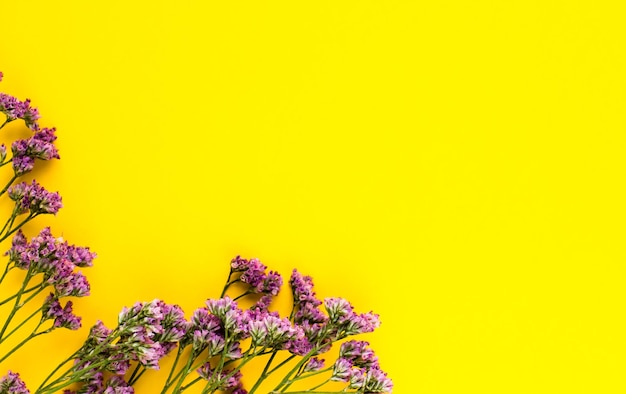 Sommergetrocknete Blumen auf gelbem Hintergrund Minimalistischer flacher Lay-Hintergrund für Mockup-Vorlage