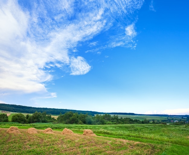 Sommergrüne Wiese mit Heustapeln.