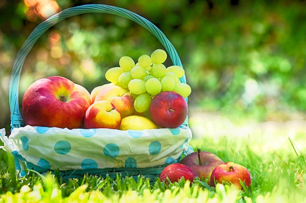 Sommerhintergrund mit reifen Früchten