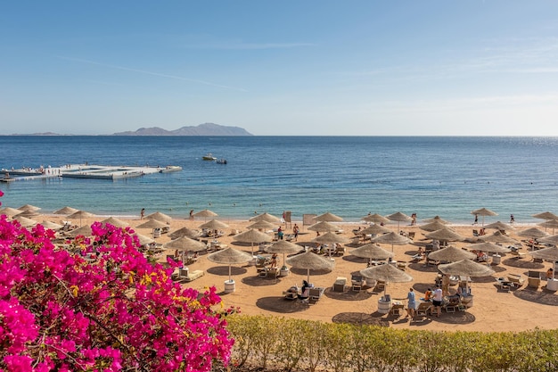 Sommerhintergrund mit tropischem Strand Ferienurlaub und Reiseabenteuerkonzept