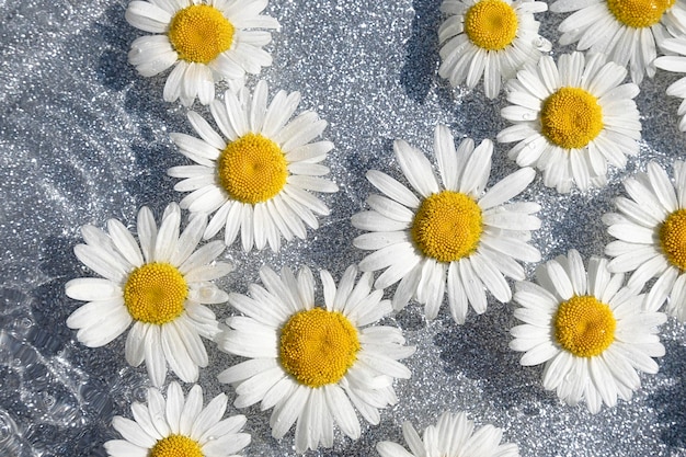 Sommerhintergrund Natürliche Kamillenblüten und Wellenwasser auf glänzendem grauem Hintergrund Draufsicht Flach liegend