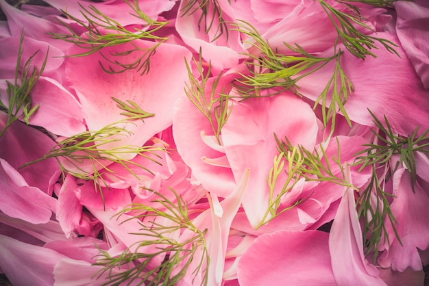 Sommerhintergrund von Blütenblättern von rosa Blumen