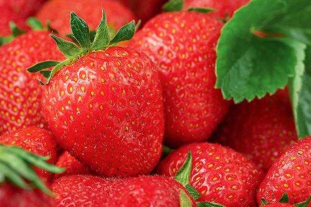 Sommerhintergrund von frischen reifen Erdbeeren. Nahansicht