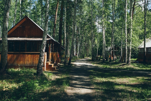 Sommerholzhaus in einem Birkenhain. Camping im Wald. umweltfreundliche Konstruktion