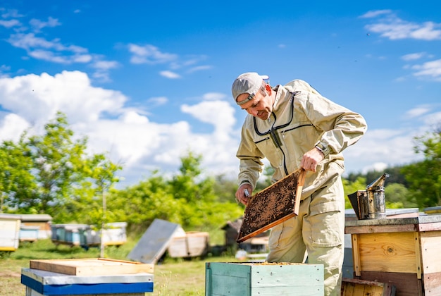 Foto sommerhonigzucht schöner imker mit holzrahmen