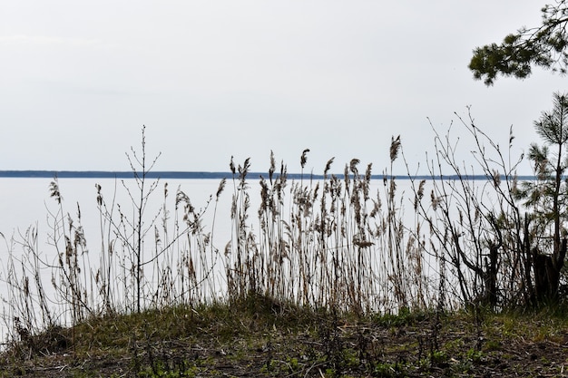 Sommerküste der Wolga