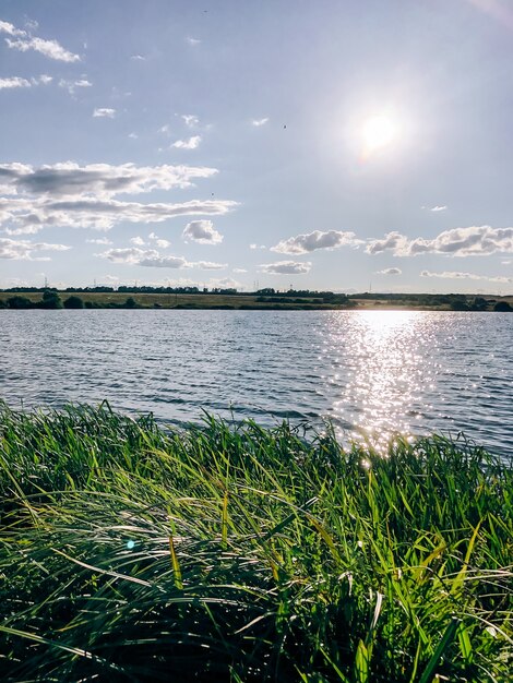 Sommerlandschaft am Ufer eines Teiches in der untergehenden Sonne