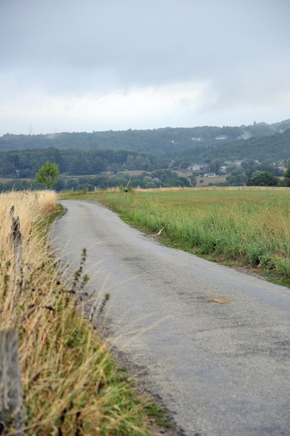 Sommerlandschaft der belgischen Ardennen