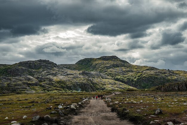 Sommerlandschaft der grünen Polartundra in der Nähe von Teriberka