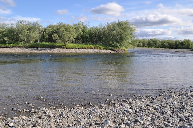 Sommerlandschaft der nördlichen Flussufer