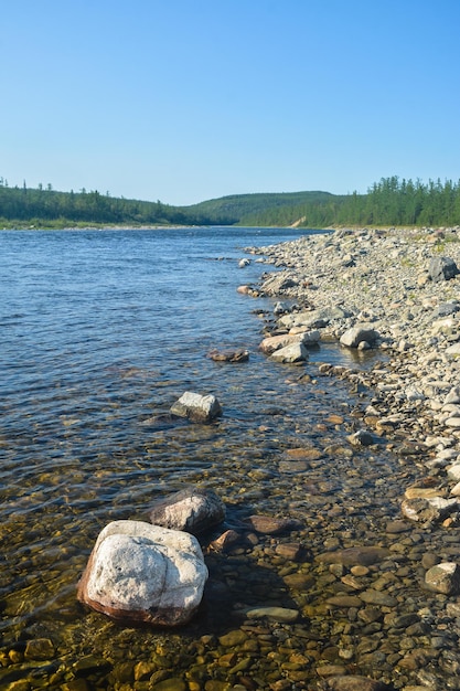 Sommerlandschaft des North River