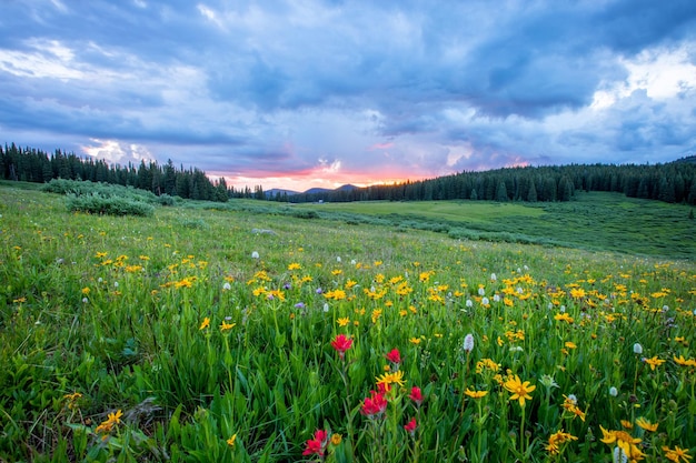 Sommerlandschaft, grüne Berge