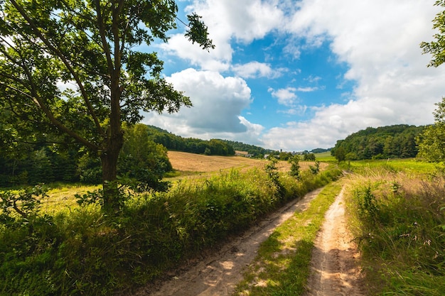 Sommerlandschaft, grüne Berge