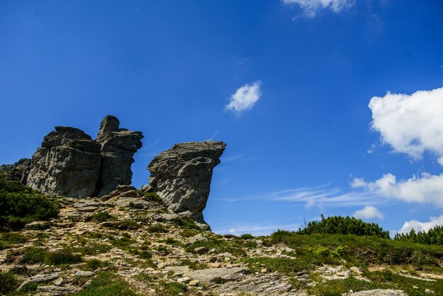 Sommerlandschaft in den Bergen