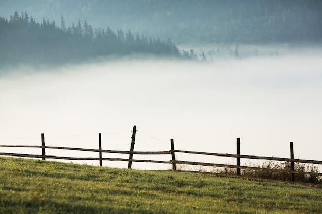 Sommerlandschaft in den Karpaten in der Ukraine