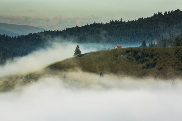 Sommerlandschaft in den Karpaten in der Ukraine