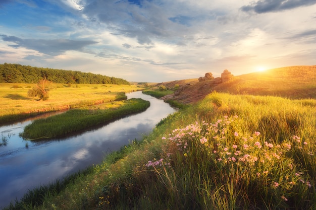 Sommerlandschaft in der schönen Steppe bei Sonnenuntergang