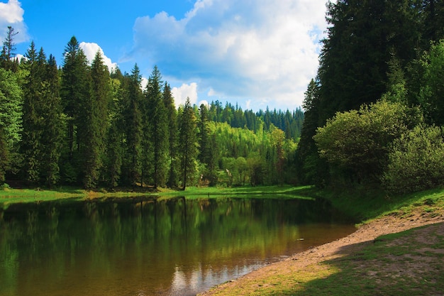 Sommerlandschaft mit dem See