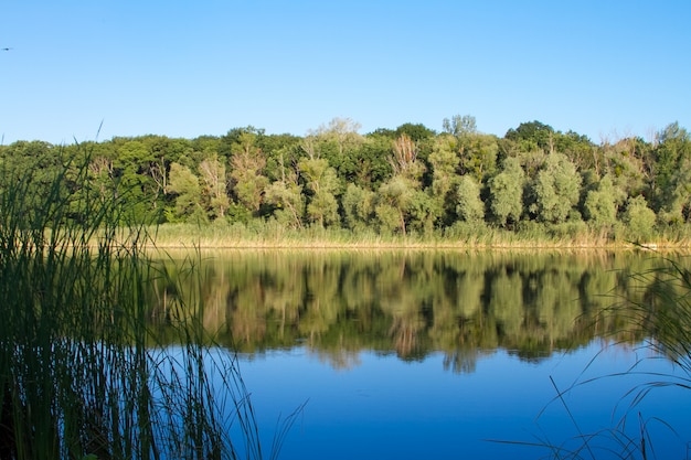 Sommerlandschaft mit einem blauen transparenten See und einem Wald im Hintergrund, selektiver Fokus