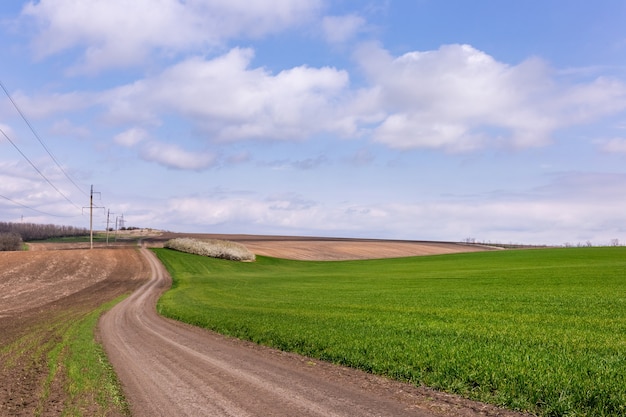 Sommerlandschaft mit einem grünen Weizenfeld, einer alten Straße und Wolken