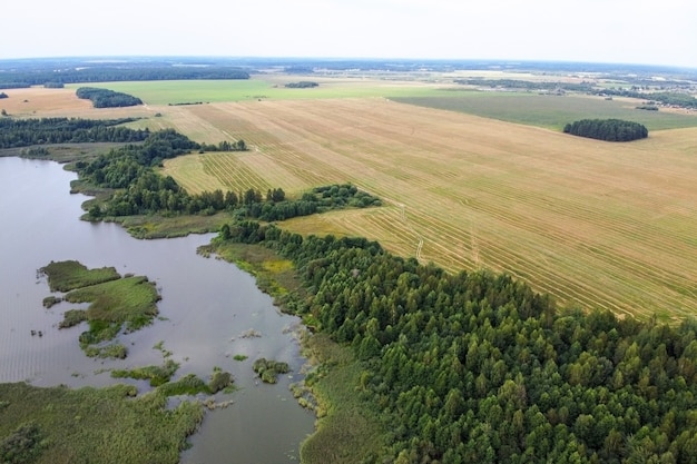 Sommerlandschaft mit Flusswald und Feldluftansicht