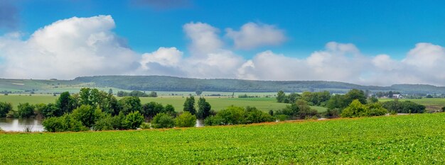 Sommerlandschaft mit grünem Feld und Bäumen in der Nähe des Flusses an einem sonnigen Tag